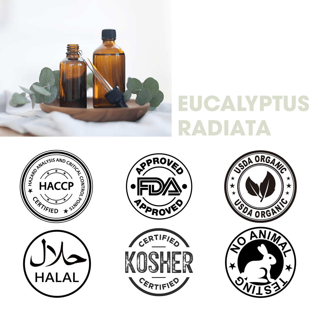 Icons Page for Eucalyptus Radiata