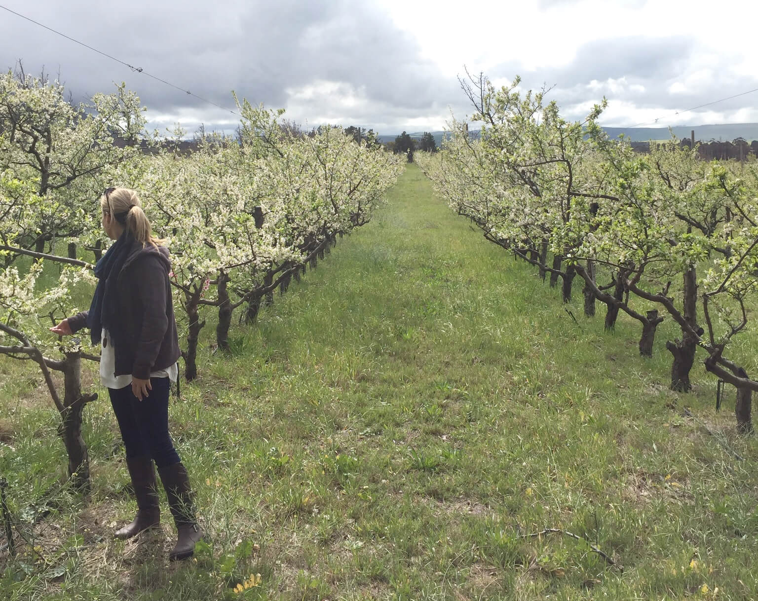 A lady stands in a field of grapevines, wearing a jacket, surrounded by lush greenery and the promise of a bountiful harvest.