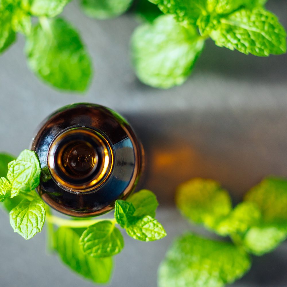 Selection of essential oils with various herbs and flowers in the background