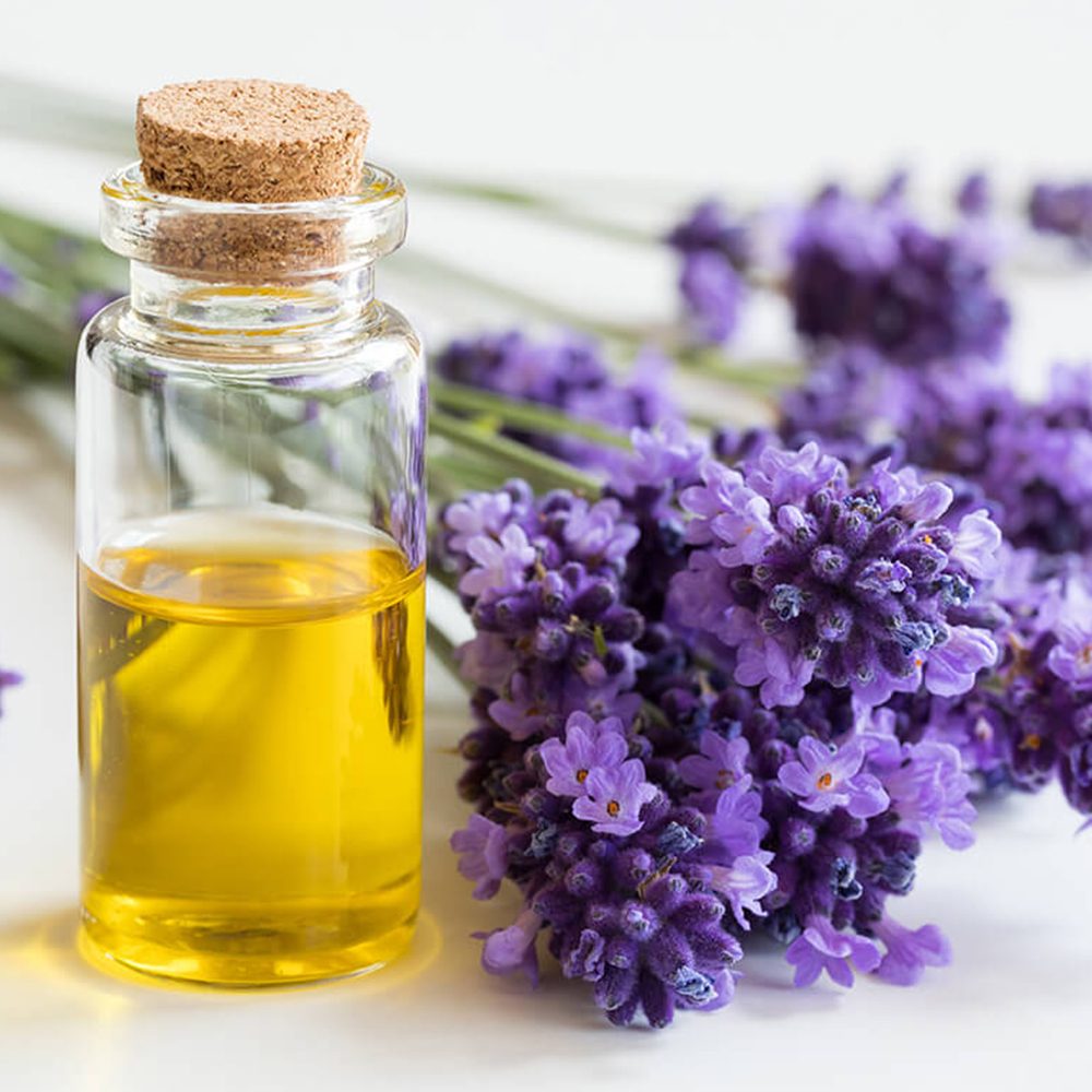 lavender-05